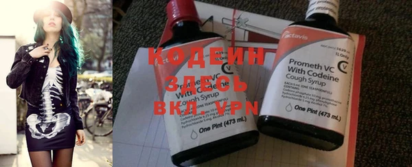 индика Белокуриха