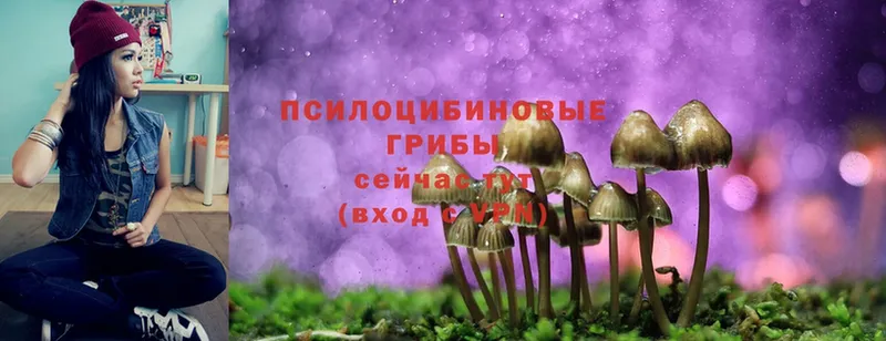 кракен ССЫЛКА  Духовщина  Псилоцибиновые грибы MAGIC MUSHROOMS 